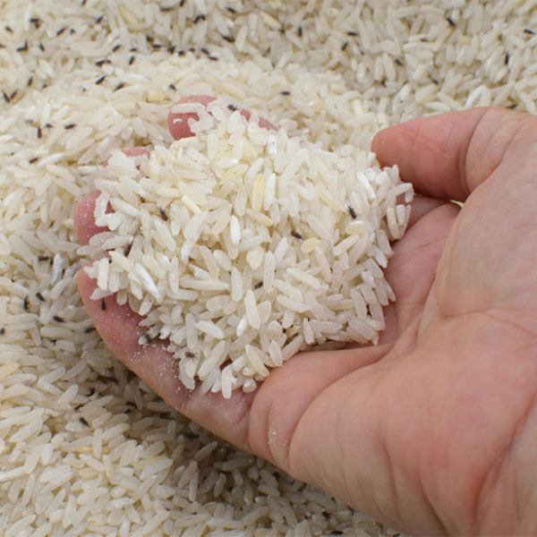 Cách Bảo Quản Gạo Không Bị Mọt