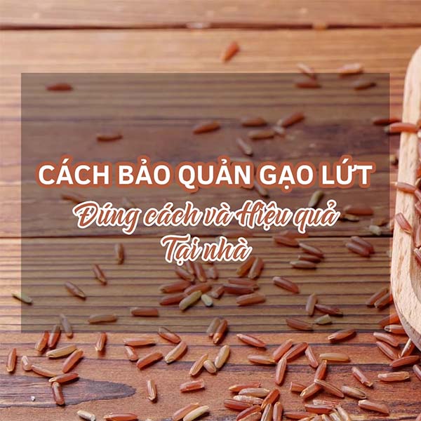 Cách bảo quản gạo lứt không bị mọt
