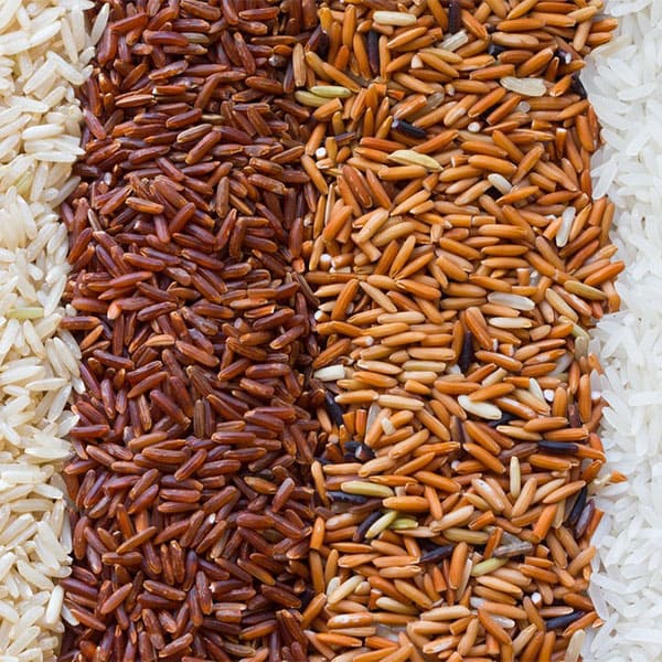 Bảo quản gạo lứt trong tủ lạnh