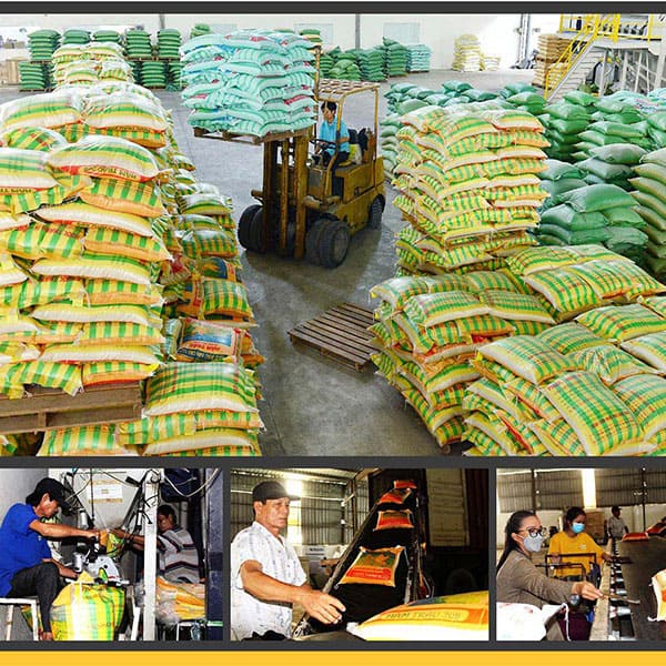 Hướng Dẫn Bảo Quản Gạo Trong Công Nghiệp Đúng Cách