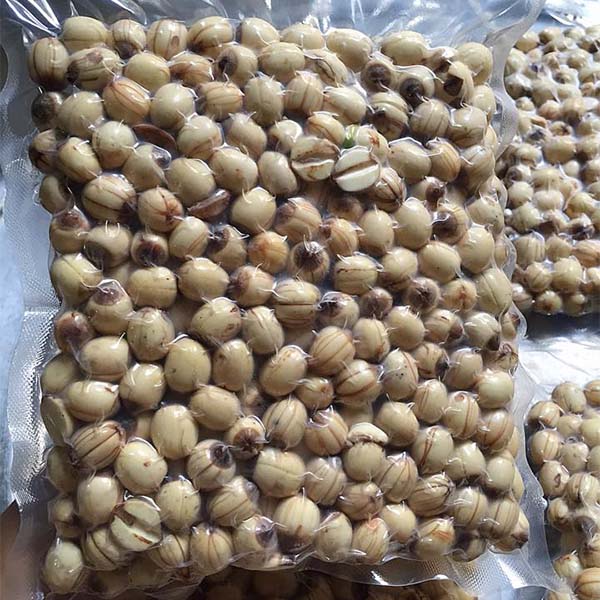 Cách bảo quản hạt sen tươi 