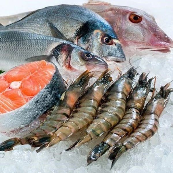 Hải sản hút chân không có để được lâu không? Hải sản hút chân không có để được lâu không?