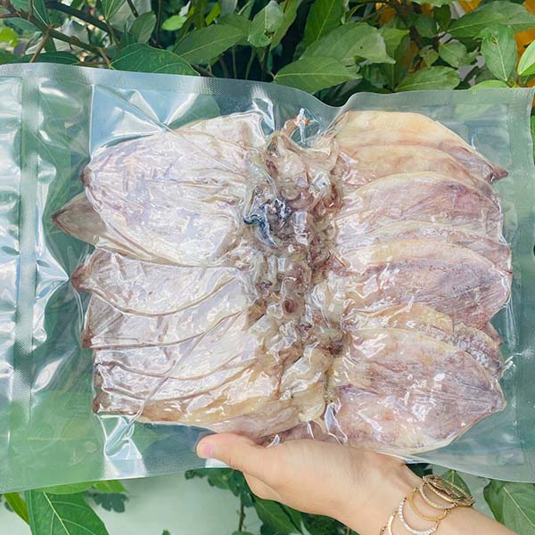 Dịch vụ hút chân không mực khô tại quận Cẩm Lệ - Đà Nẵng