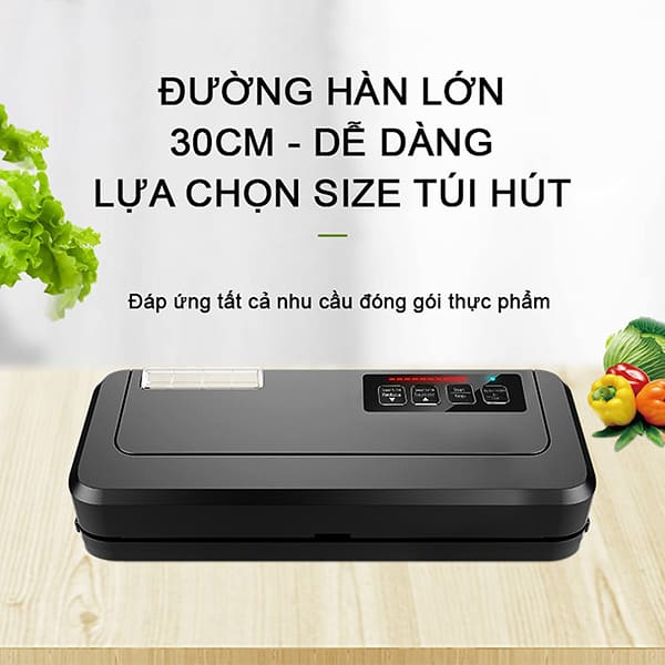máy hút chân không P290