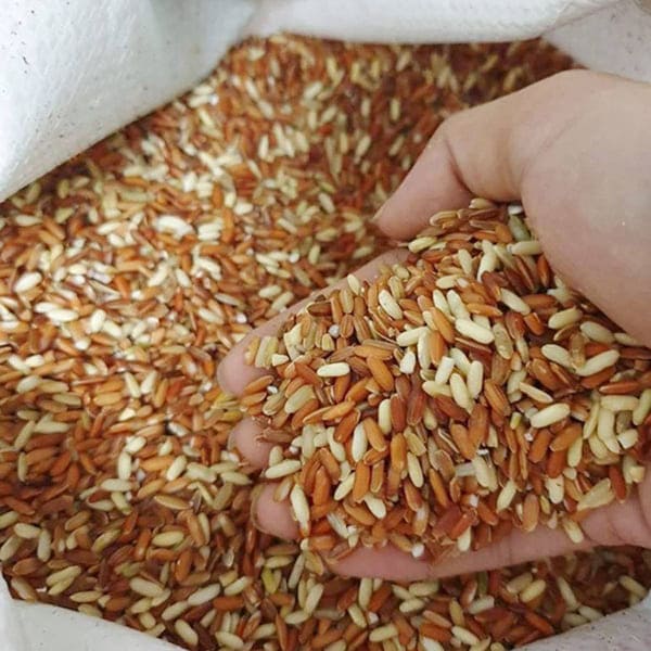Tác Dụng Của Gạo Lứt? Có Nên Ăn Gạo Lứt Hàng Ngày? 