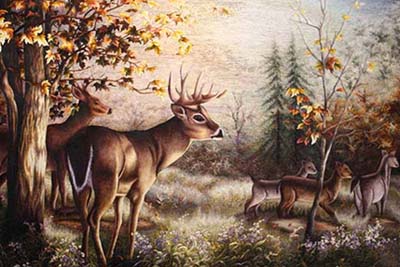 Ý Nghĩa Hình Ảnh Hươu Nai Trong Phong Thủy Gốm sứ Phùng Gia Ý Nghĩa Hình Ảnh Hươu Nai Trong Phong Thủy Gốm Sứ Phùng Gia