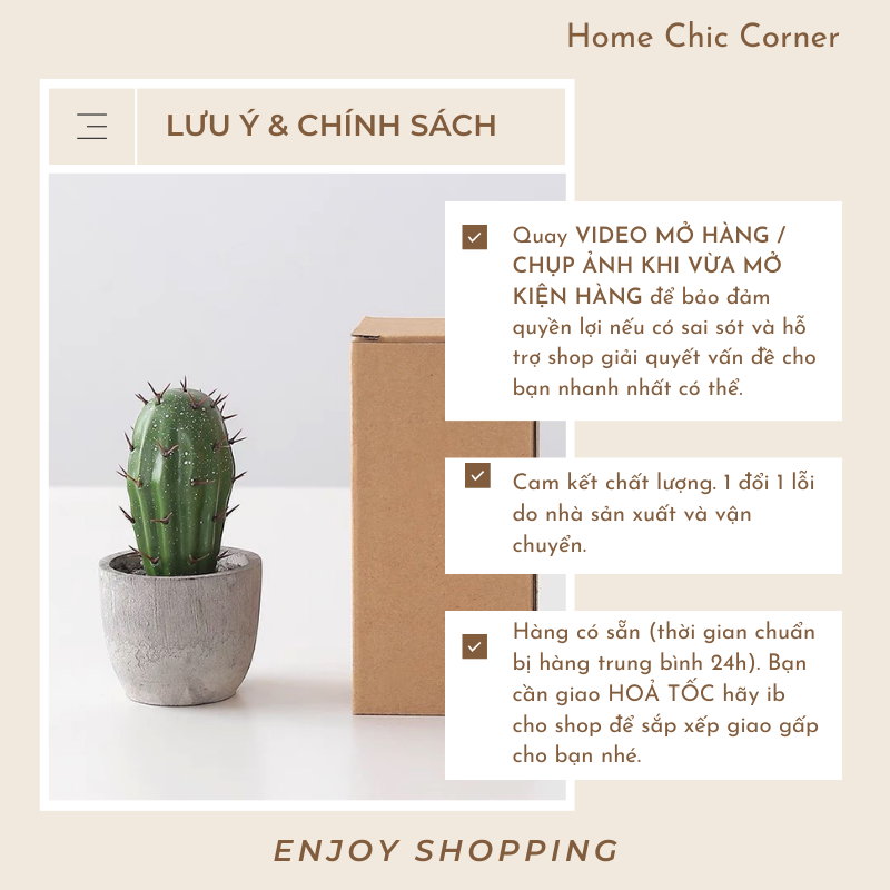 Chậu xương rồng chậu mini