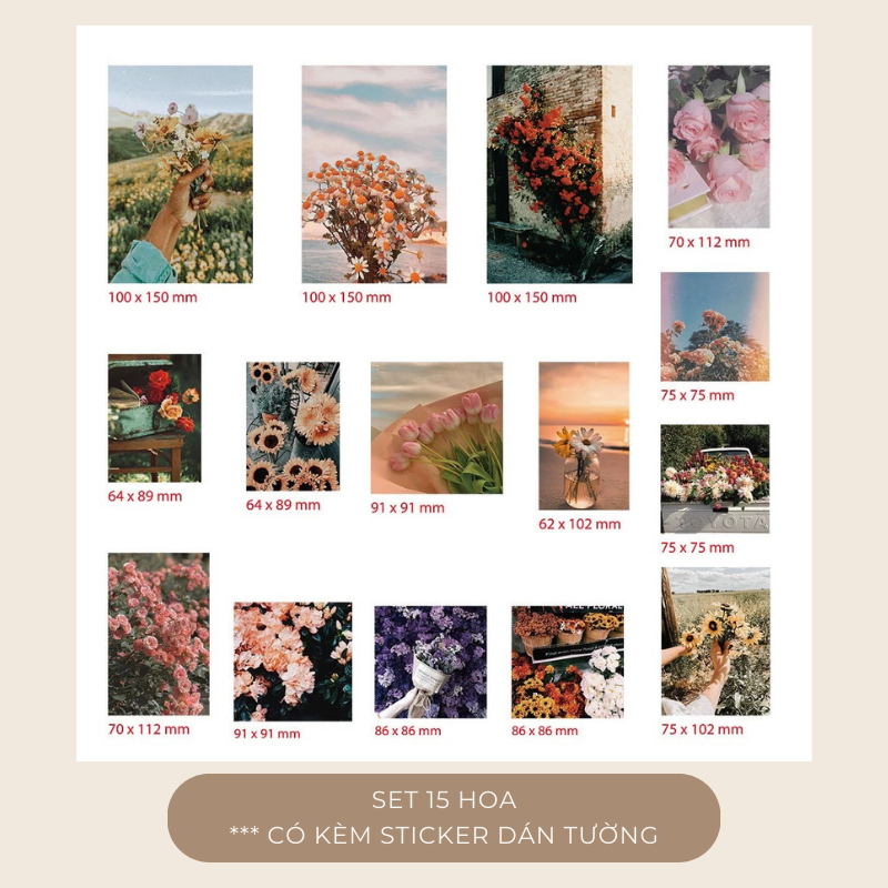Set postcard tranh ảnh decor trang trí tường nhiều mẫu