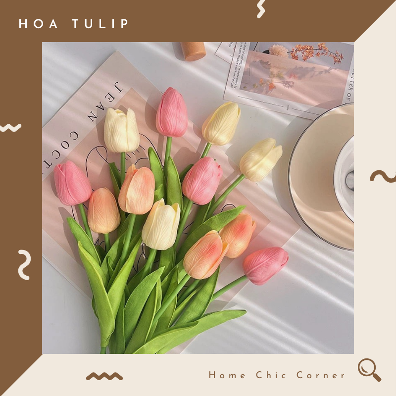 Hoa tulip trang tri decor nhiều màu