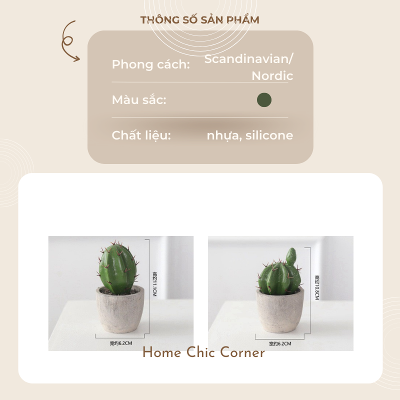 Chậu xương rồng chậu mini