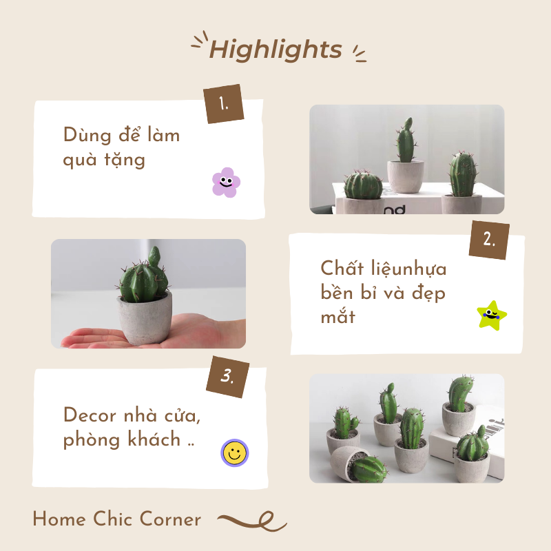 Chậu xương rồng chậu mini