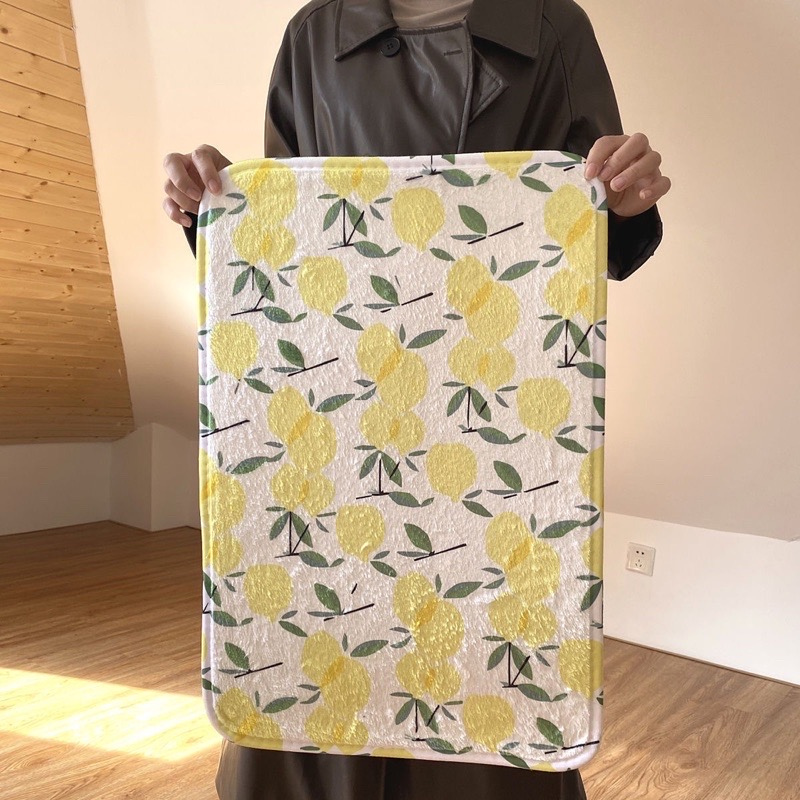 Thảm sàn thấm hút cashmere 40x60cm nhiều mẫu