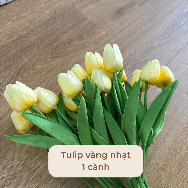 Hoa tulip trang tri decor nhiều màu
