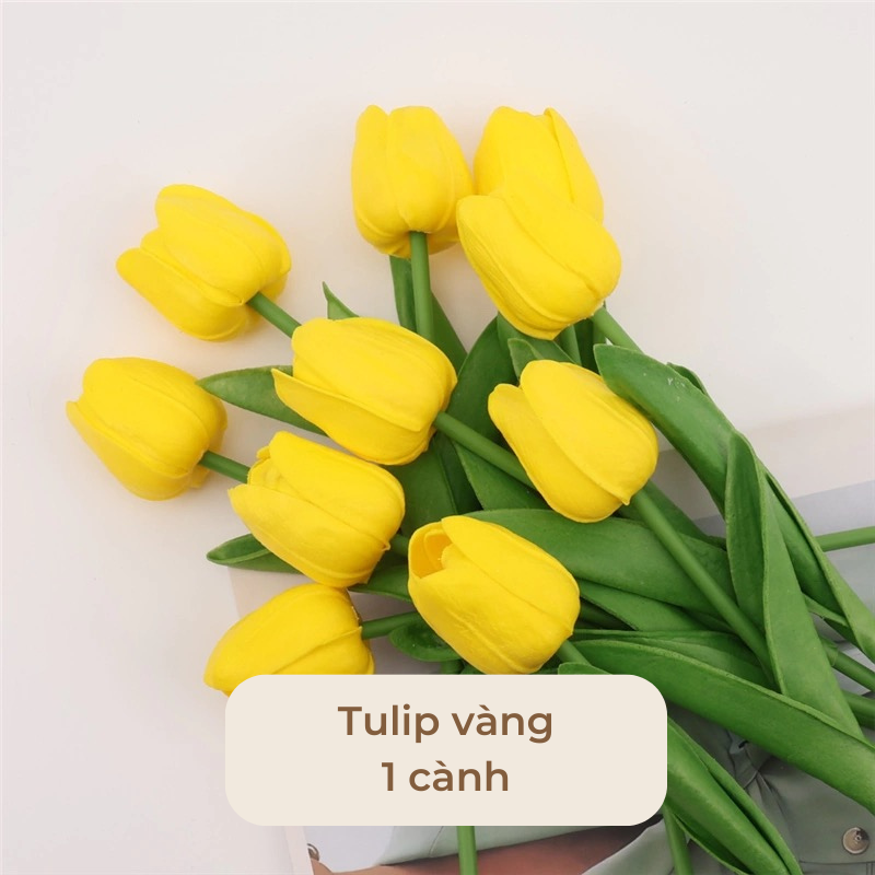Hoa tulip trang tri decor nhiều màu