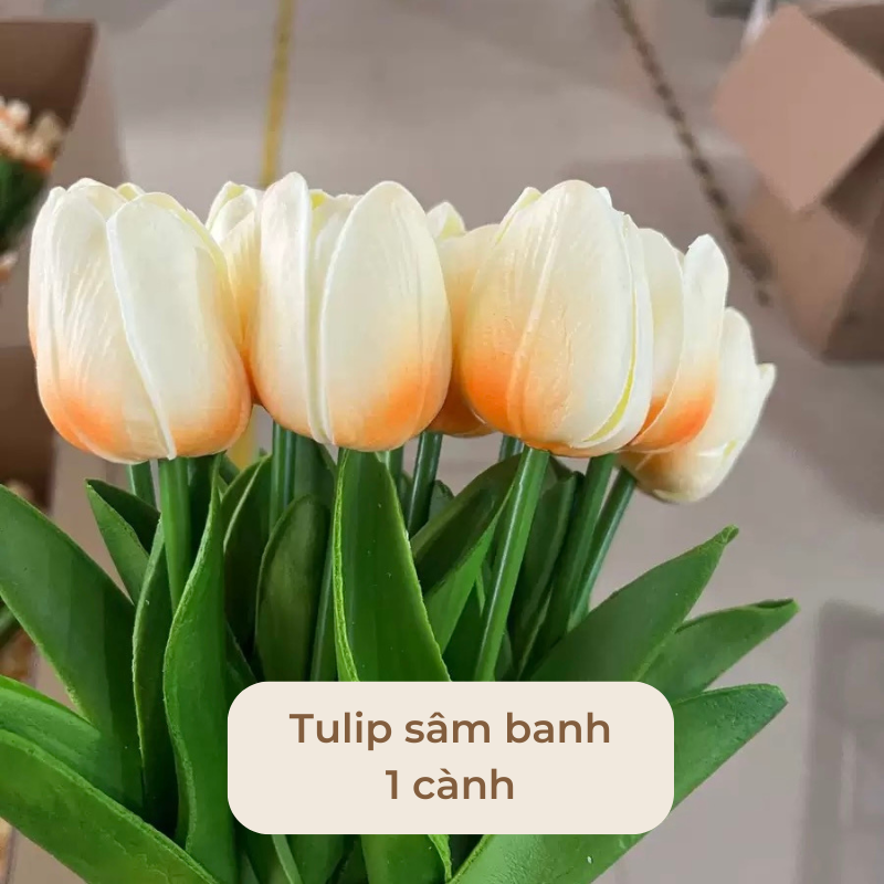 Hoa tulip trang tri decor nhiều màu