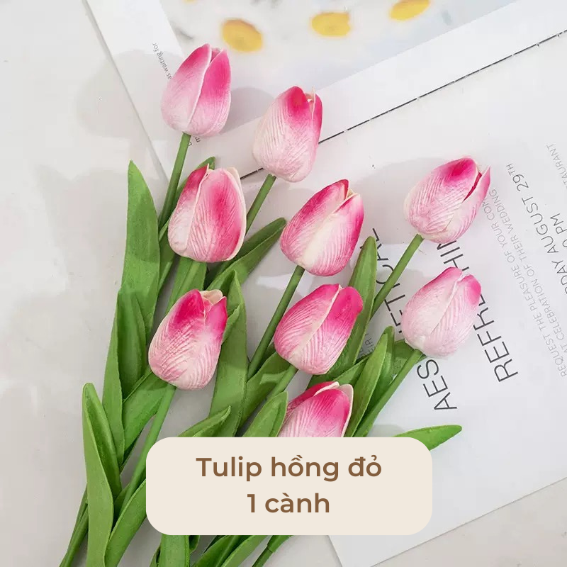Hoa tulip trang tri decor nhiều màu