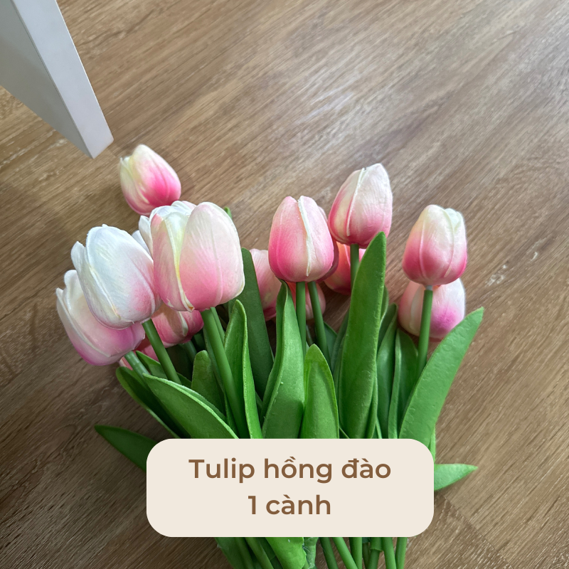 Hoa tulip trang tri decor nhiều màu