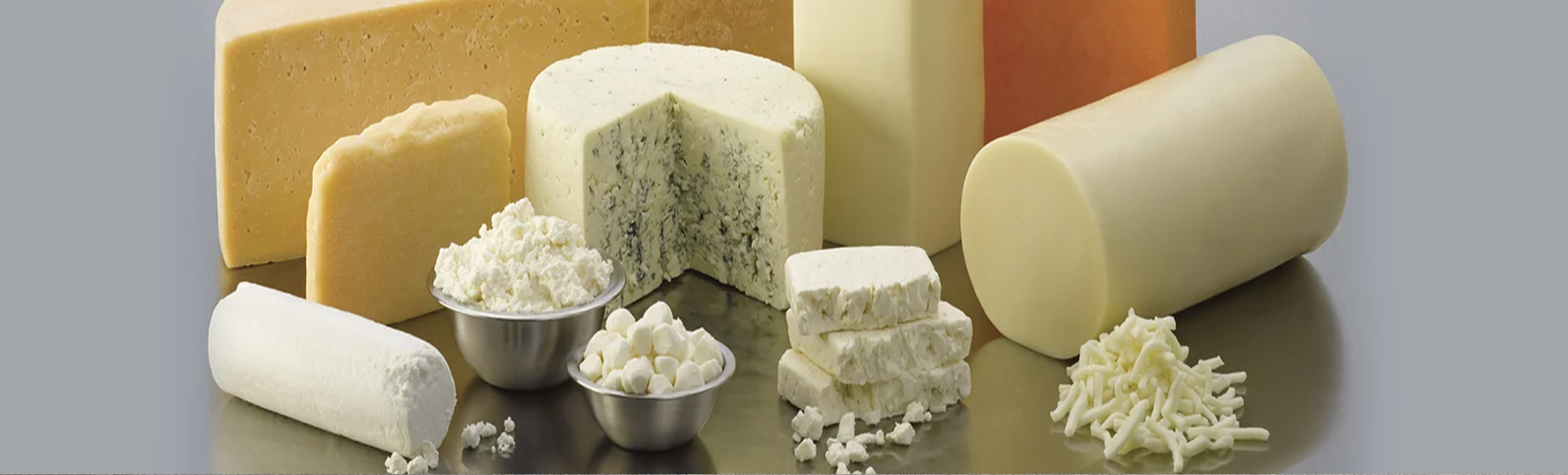 SỰ KHÁC NHAU GIỮA PHÔ MAI MOZZARELLA VÀ PHÔ MAI CHEDDAR