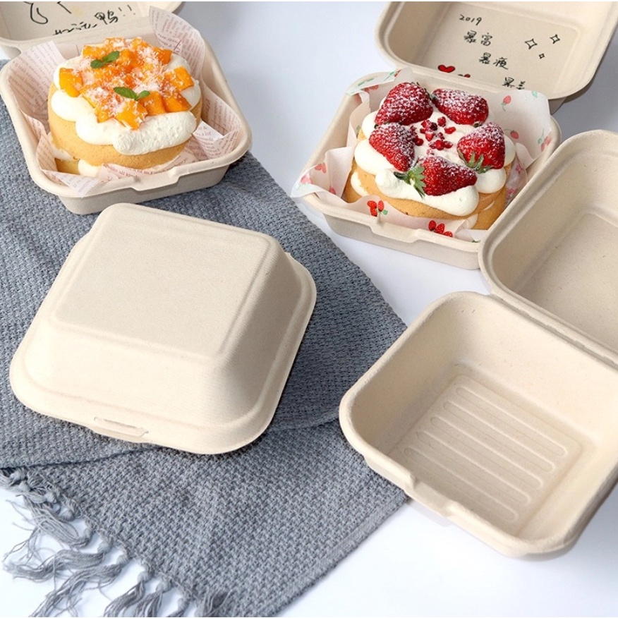 Vận chuyển hộp bã mía sang Singapore – Giải pháp xanh trong xuất khẩu Việt