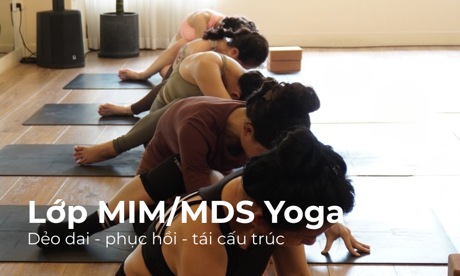 Lớp MIM/MDS Yoga – Phục hồi, dẻo dai và tái cấu trúc hệ vận động từ gốc