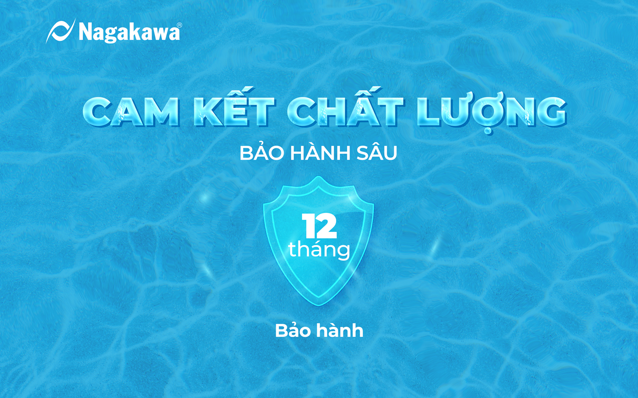 Cam kết chất lượng, bảo hành sâu