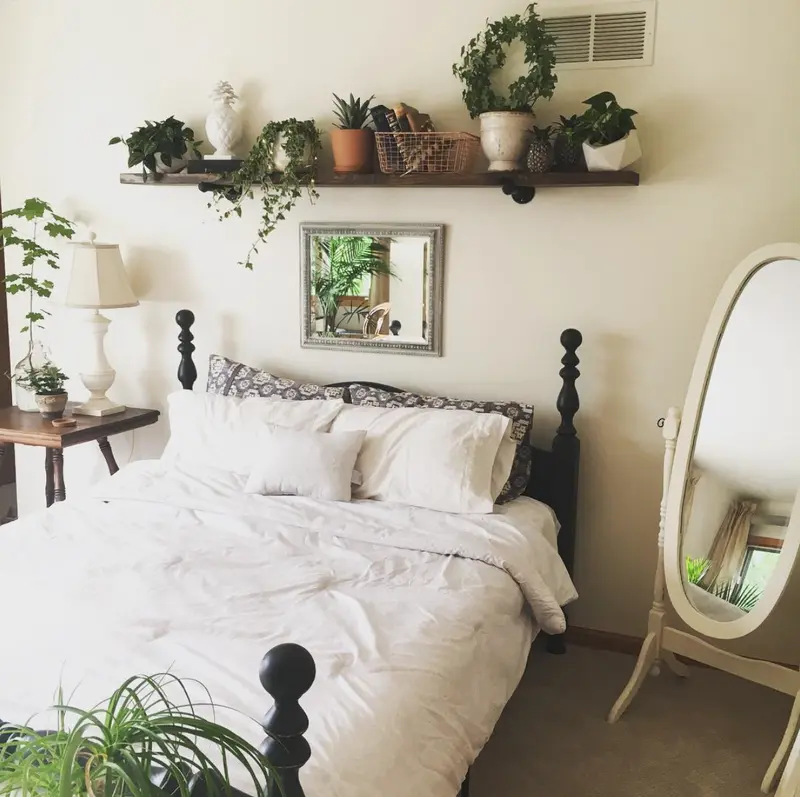 Cây xanh hỗ trợ tăng độ ẩm tự nhiên và cải thiện chất lượng không khí.