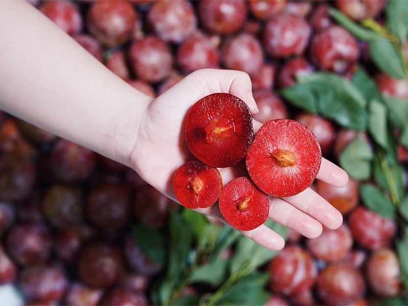 Cách Làm Siro Mận Giải Khát Mùa Hè Tại Nhà.