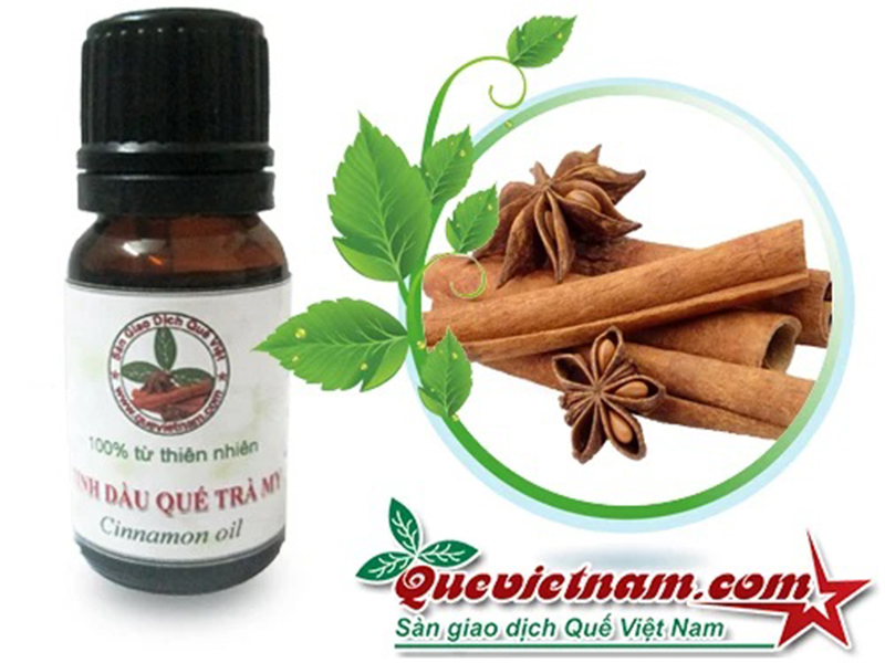 Đuổi Muỗi Bằng Tinh Dầu Quế An Toàn Và Hiệu Quả