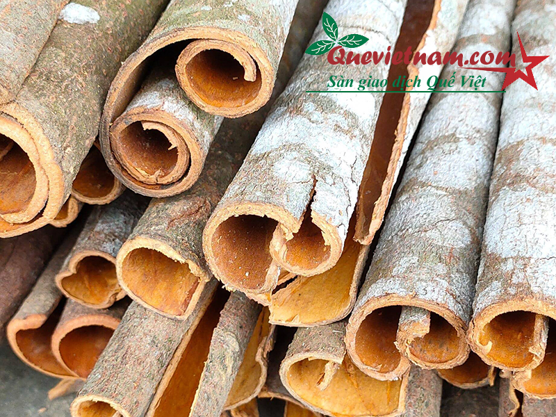 Công Dụng Của Vỏ Quế - Mua Vỏ Quế Ở Đâu Chất Lượng