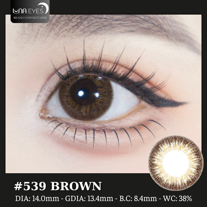 (quà tặng) 539 BROWN - size nhỏ