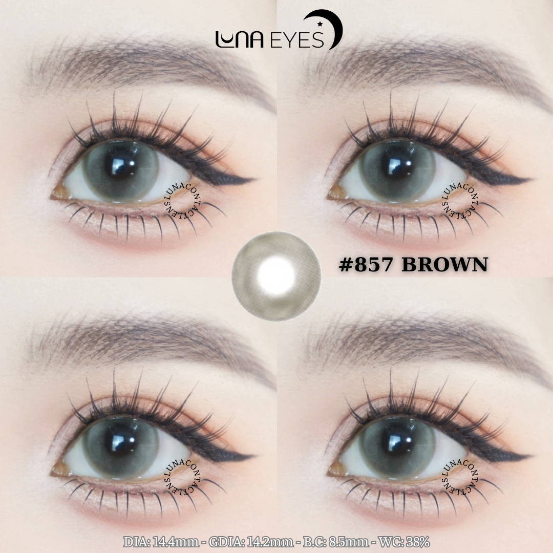 (Luna Eyes) 857 BROWN - size lớn