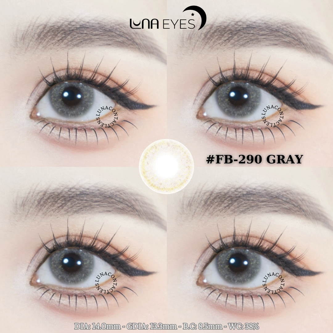 FB-290 GRAY - size nhỏ