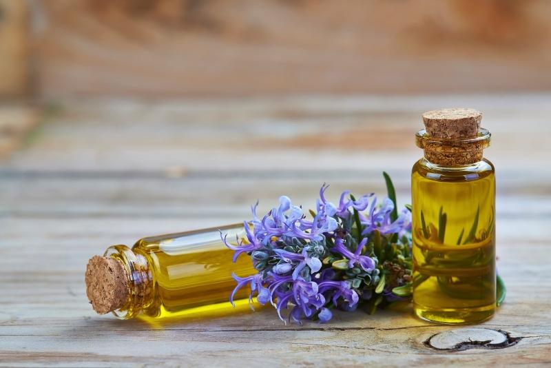 Chất bảo quản tự nhiên - chiết xuất dầu hương thảo 