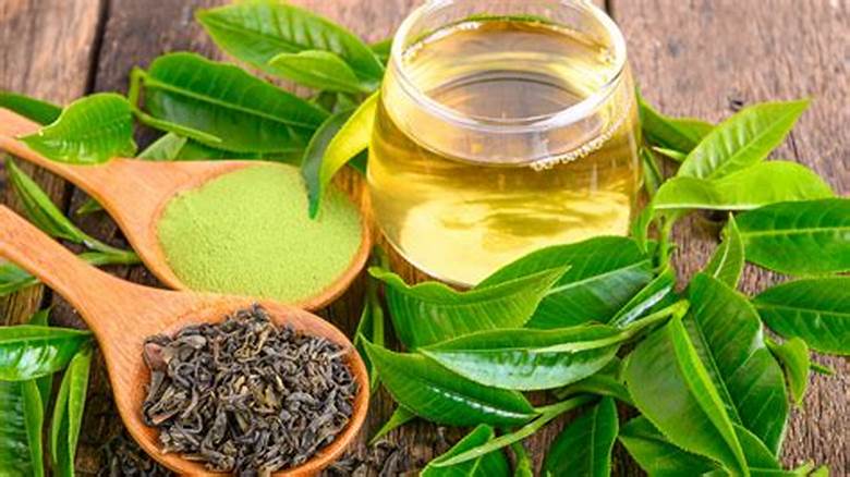 Chất bảo quản tự nhiên - chiết xuất trà xanh 