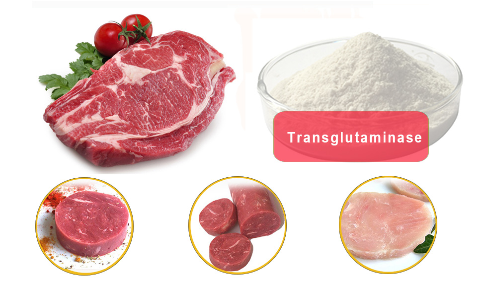 Enzym TG có khả năng liên kết thịt 