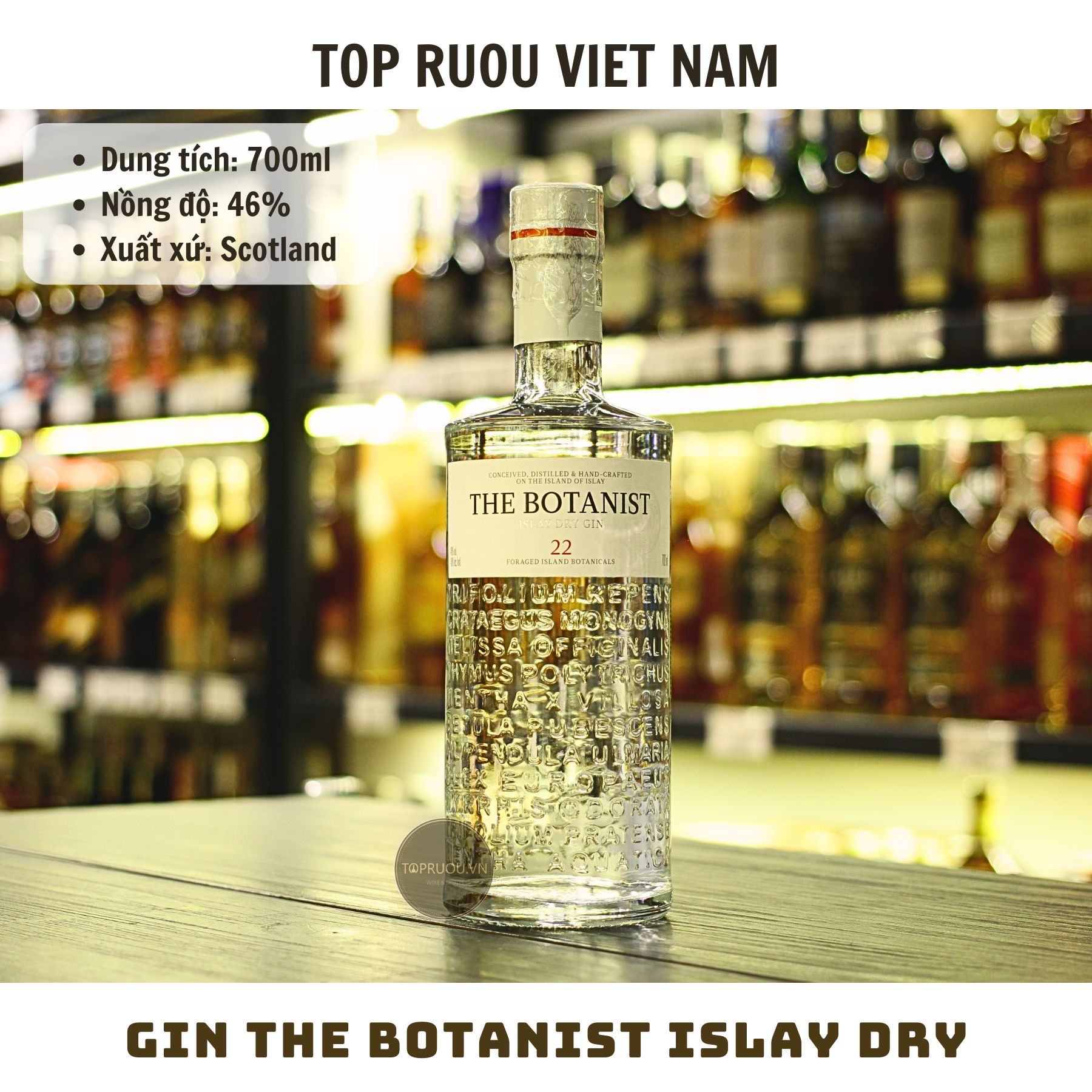 Gin The Botanist Islay Dry - 700ml - 46% - Scotland