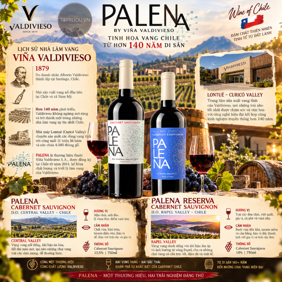 Rượu Vang Đỏ Palena Cabernet Sauvignon Reserva - Chile - Cabernet Sauvignon - 14% - 750ml