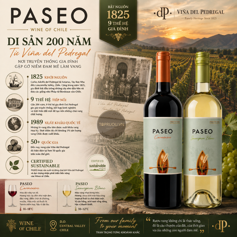 Rượu Vang Đỏ Paseo - Chile - Carmenere - 12,5% - 750ml