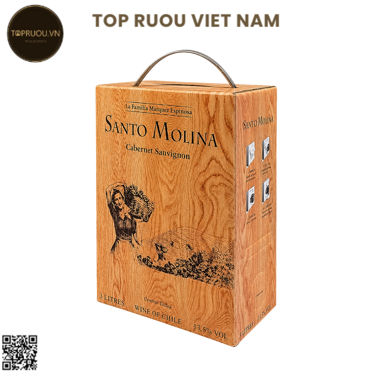 Rượu Vang Đỏ Túi Santo Molin - Chile - Cabernet Sauvignon - 13.5% - 3000ml