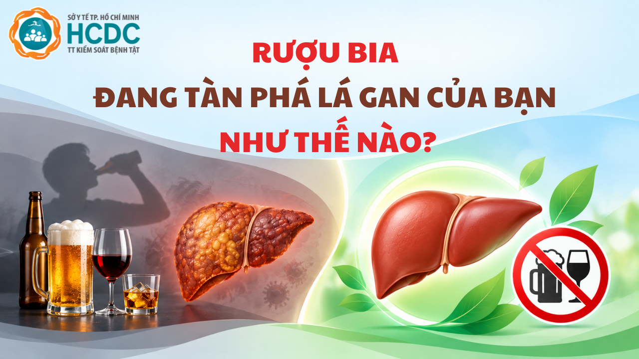 Những Tác Động Nguy Hiểm Của Rượu Bia Đến Lá Gan ( theo HCDC )