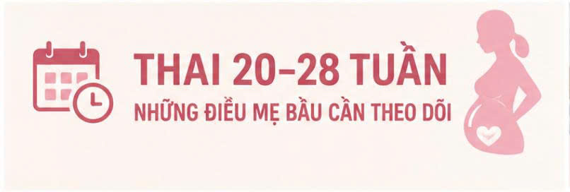 Thai 20–28 tuần: Những điều mẹ bầu cần theo dõi để thai kỳ phát triển khỏe mạnh