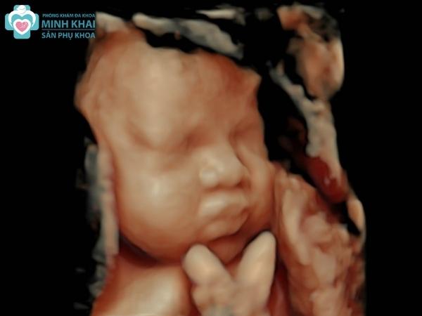 So Sánh Siêu Âm 2D, 3D, 4D, 5D Trong Siêu  Âm Thai