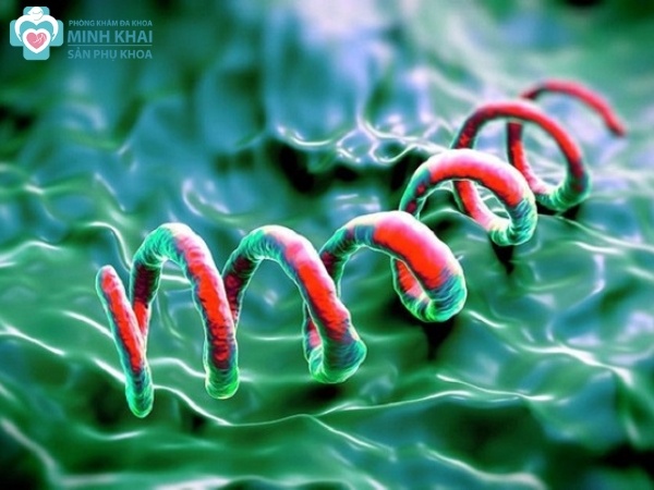 11 bệnh lây qua đường tình dục mà bạn nên biết