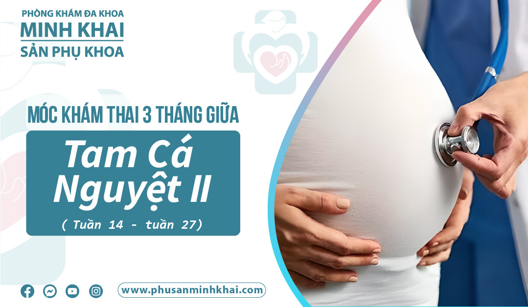 Móc khám thai chu kỳ Tam cá nguyệt II