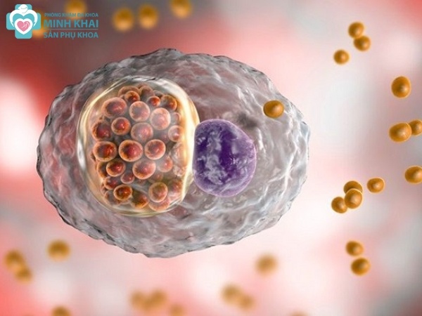 Vi khuẩn Chlamydia trachomatis là gì?