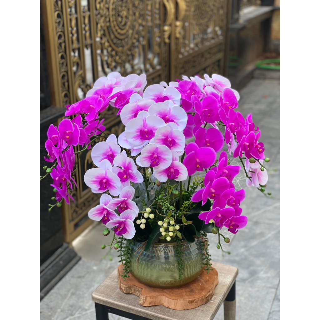 Bình Hoa Giả Lan Hồ Điệp Chất Cao Su Cao Cấp Trang Trí Đẹp Pknd Flowers &  Decor