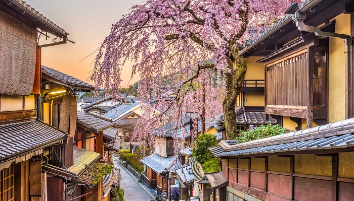 Trải Nghiệm Hòa Mình Vào Văn Hóa Độc Đáo Của Kyoto, Nhật Bản