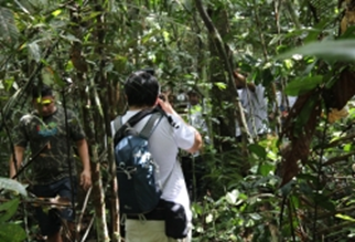 rừng Amazon