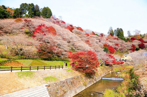 Aichi/Toyohashi