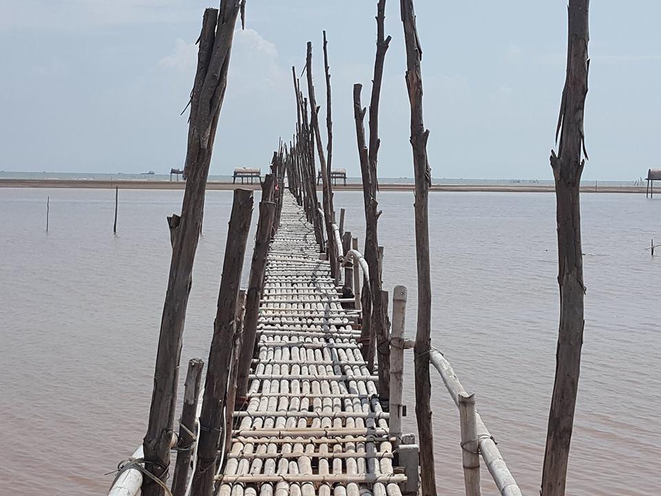 Tour Du Lịch Sinh Thái Biển Cồn Đen Thái Bình 1 Ngày Giá Rẻ